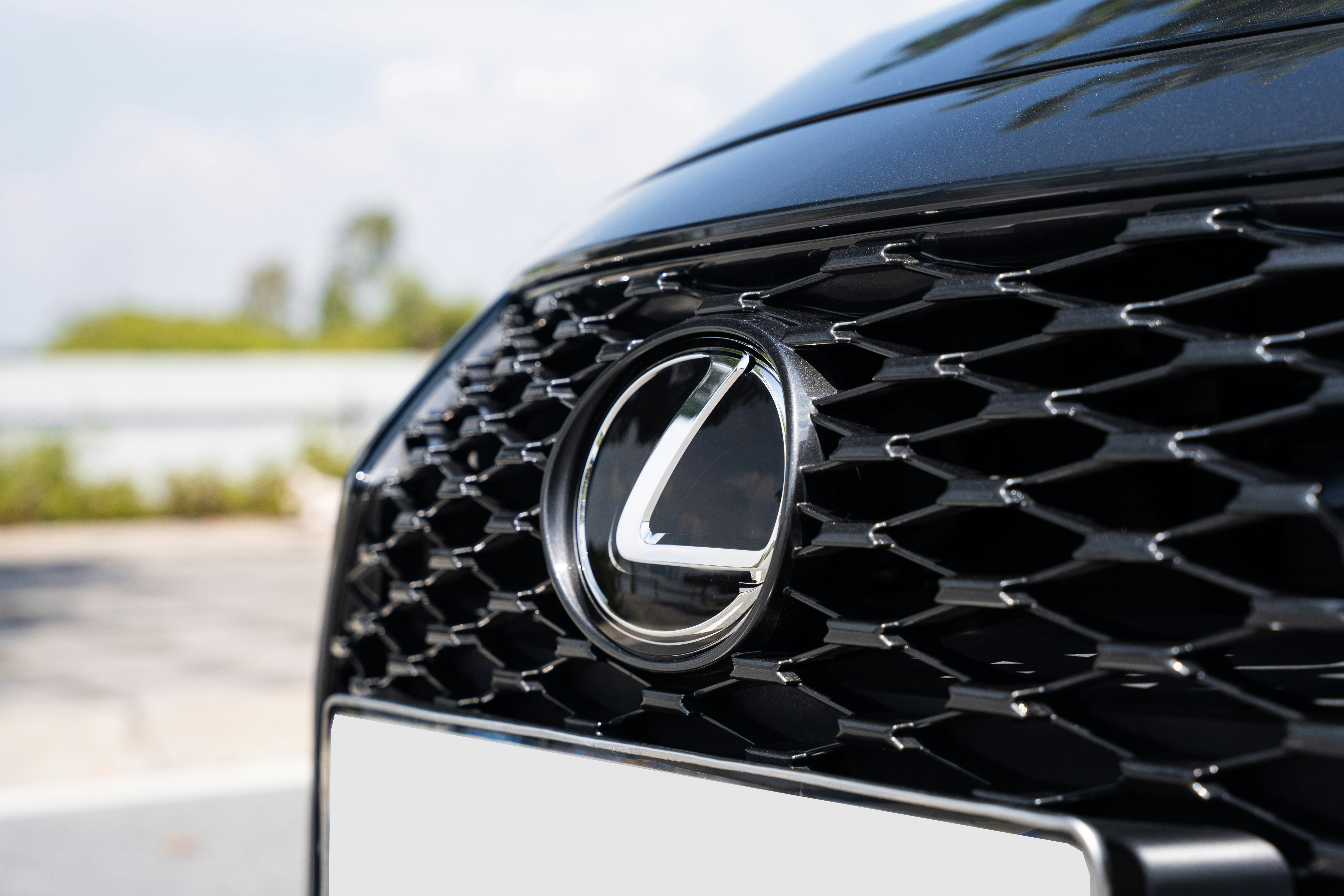 Lexus Banner